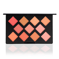 PAC Take Cover Blusher X11 | Long Lasting, Matte HD Finish Face Palette | 11 Lightweight Natural Shades with Highlighter, Shimmer Blush & Bronzer | Highly Pigmented & Blendable for All Skin Type - 6g
