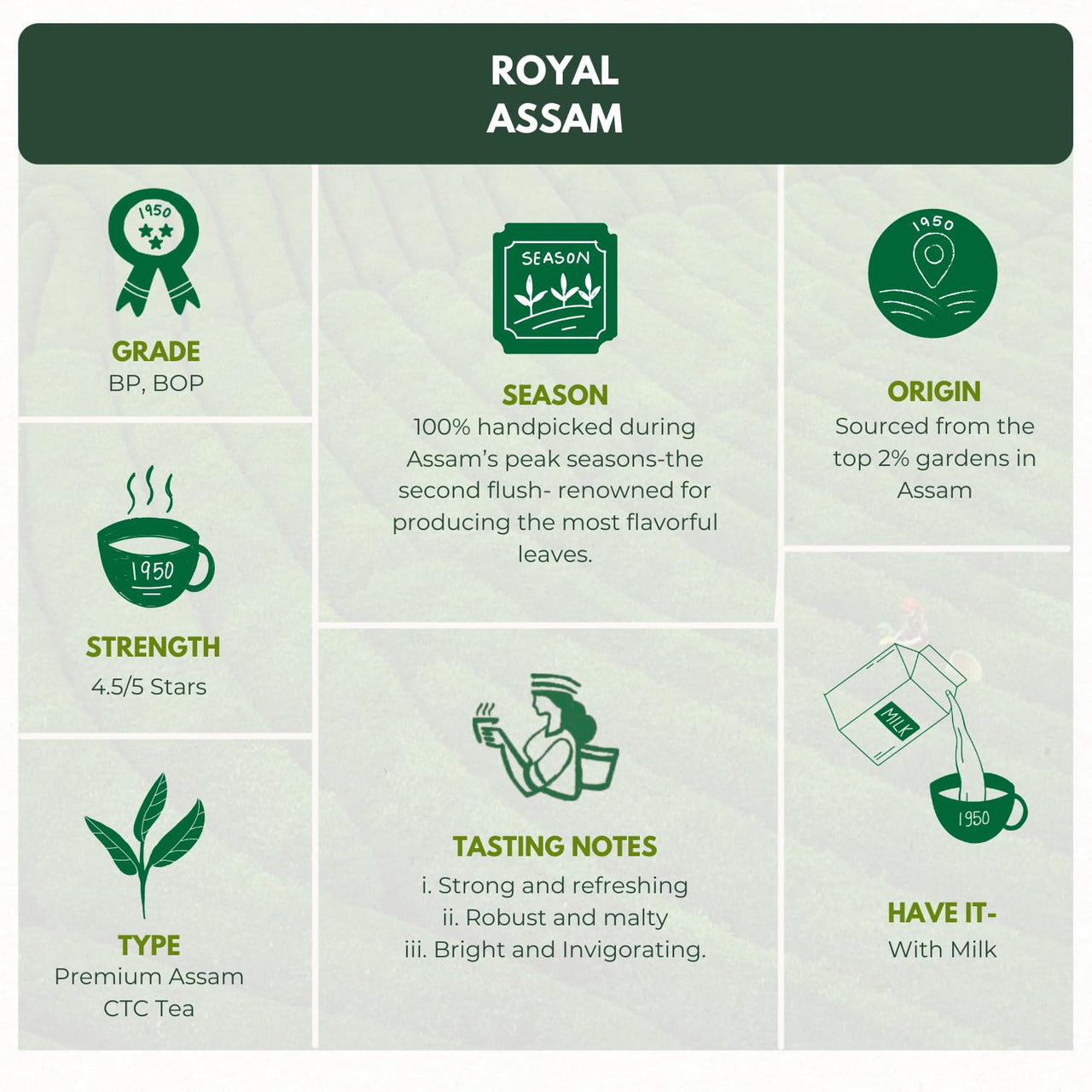 1950 Origins Royal Assam | Premium Black Tea | Kadak Chai | 100% Natural Loose Leaf Tea | Pure Assam CTC Tea Leaves | Rich, Strong & Fresh | Tin Caddy,150g