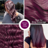 Paradyes No Bleach Mini Berry Plum Glossy Hair Tint, Ammonia-Free Formula for Natural Black Hair, Visible on Natural Black Hair