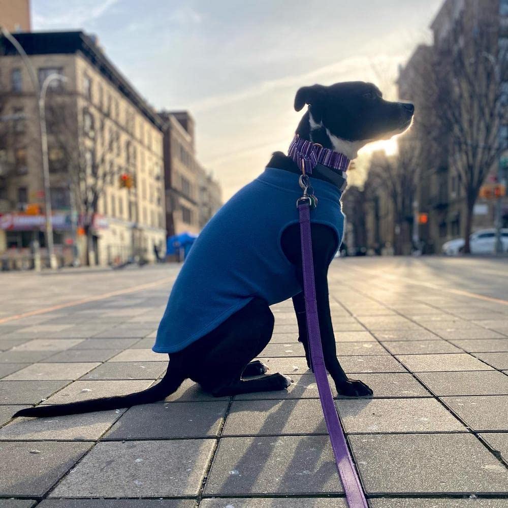 Gooby Stretch Fleece Vest Dog Sweater - Steel Blue, 4X-Large - Warm Pullover Fleece Dog Jacket - Winter Dog Clothes for Small Dogs Boy - Dog Sweaters for Small Dogs to Dog Sweaters for Large Dogs 4X-Large Length (22.5")