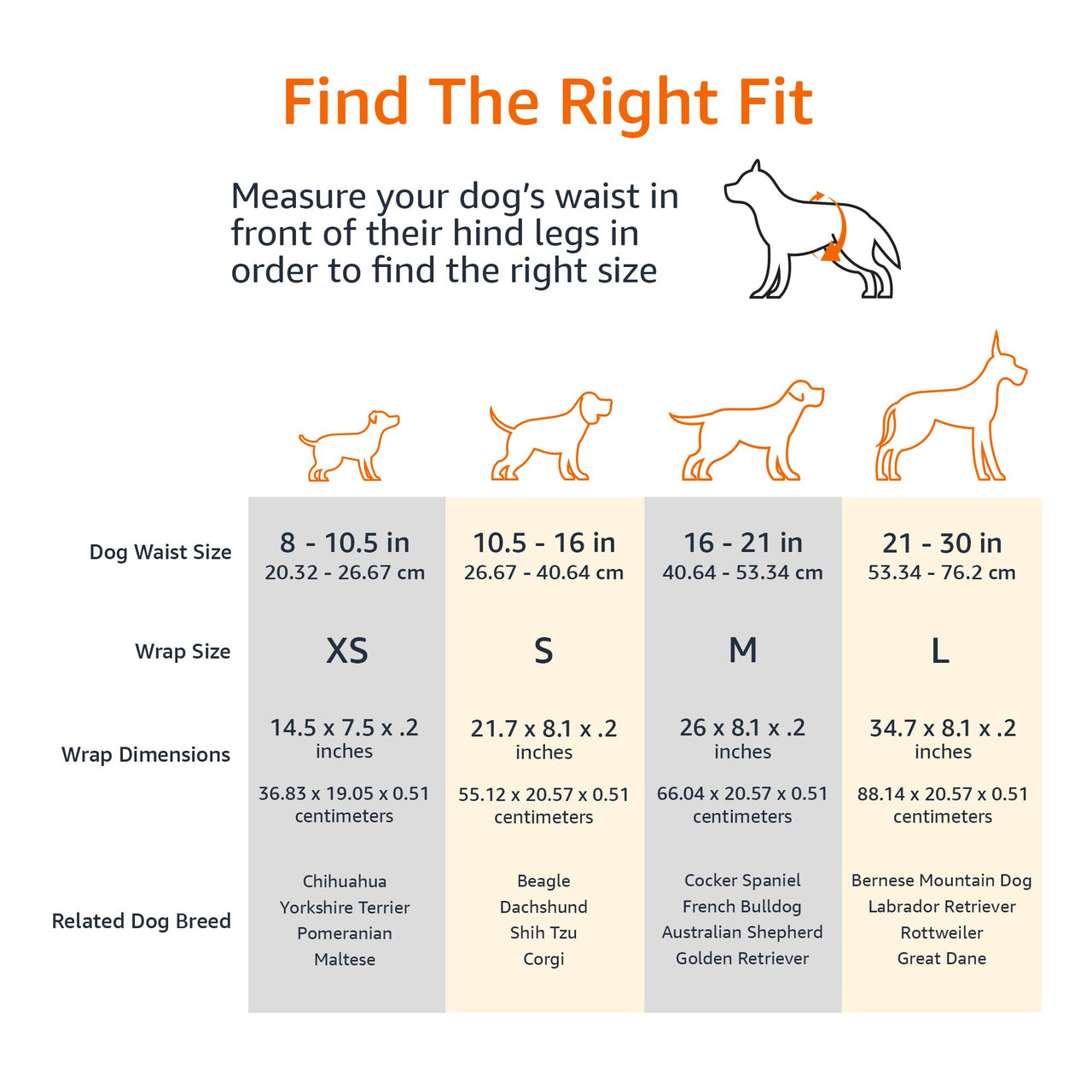 Basics Male Dog Wrap, Disposable Diapers, X-Small, Pack of 30, White X-Small (Pack of 30)