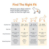 Basics Male Dog Wrap, Disposable Diapers, X-Small, Pack of 30, White X-Small (Pack of 30)