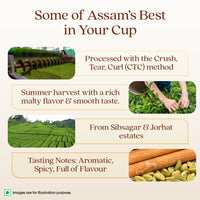 1868 by TATA Tea Masala Chai, Blend of Assam Black Tea, Cinnamon, Black Pepper, Cardamom, Ginger, Clove, Spicy, Malty, Aromatic, Whole Loose Leaf, From House of TATA (30 Cups/100g)