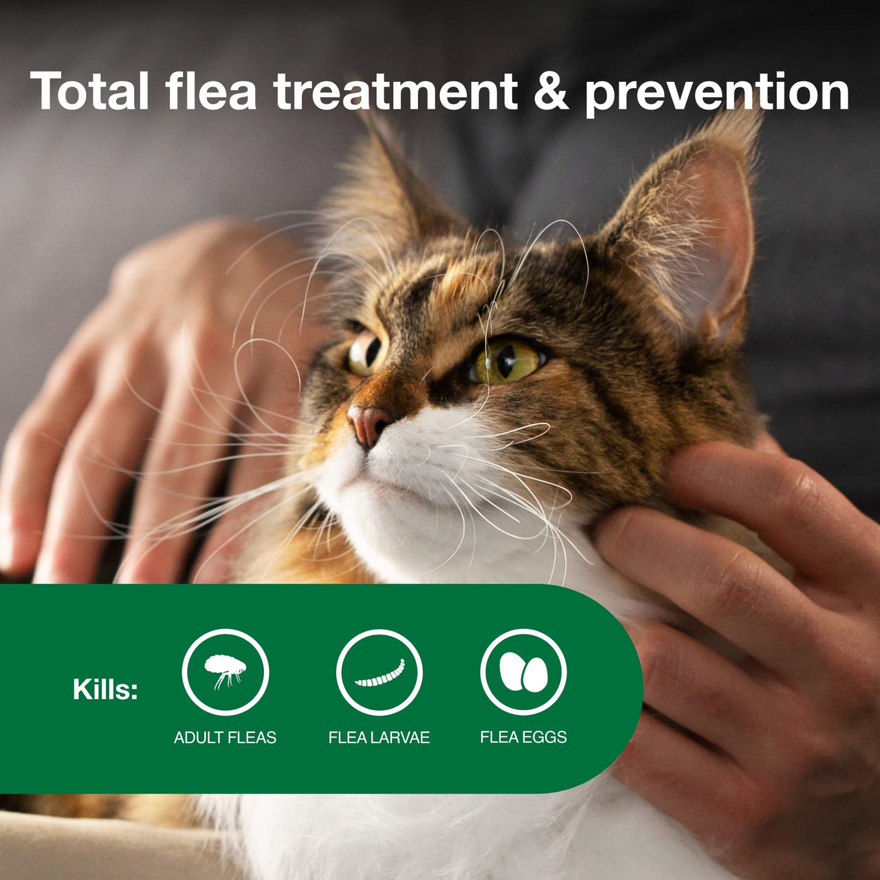 Advantage II Large Cat Vet-Recommended Flea Treatment & Prevention | Cats Over 9 lbs. | 2-Month Supply 2-Pack Large Cat only