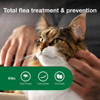 Advantage II Large Cat Vet-Recommended Flea Treatment & Prevention | Cats Over 9 lbs. | 2-Month Supply 2-Pack Large Cat only