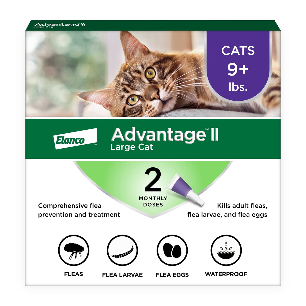 Advantage II Large Cat Vet-Recommended Flea Treatment & Prevention | Cats Over 9 lbs. | 2-Month Supply 2-Pack Large Cat only