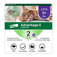 Advantage II Large Cat Vet-Recommended Flea Treatment & Prevention | Cats Over 9 lbs. | 2-Month Supply 2-Pack Large Cat only