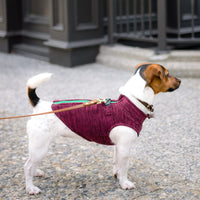 Gooby Zip Up Fleece Dog Sweater - Fuchsia Wash, Large - Warm Pullover Fleece Step-in Dog Jacket with Dual D Ring Leash - Winter Small Dog Sweater - Dog Clothes for Small Dogs Boy and Medium Dogs Large chest (~20