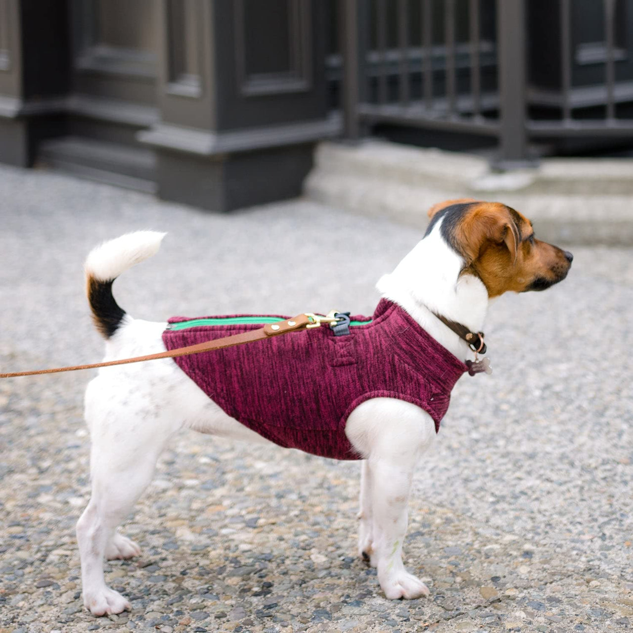 Gooby Zip Up Fleece Dog Sweater - Fuchsia Wash, Medium - Warm Pullover Fleece Step-in Dog Jacket with Dual D Ring Leash - Winter Small Dog Sweater - Dog Clothes for Small Dogs Boy and Medium Dogs