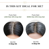 SESA 4 Step Natural Hair Colour Kit - For HIGH GREY% - 100% Organic & Ayurvedic - NO Ammonia, PPD, Peroxide, 200gm + 40ml