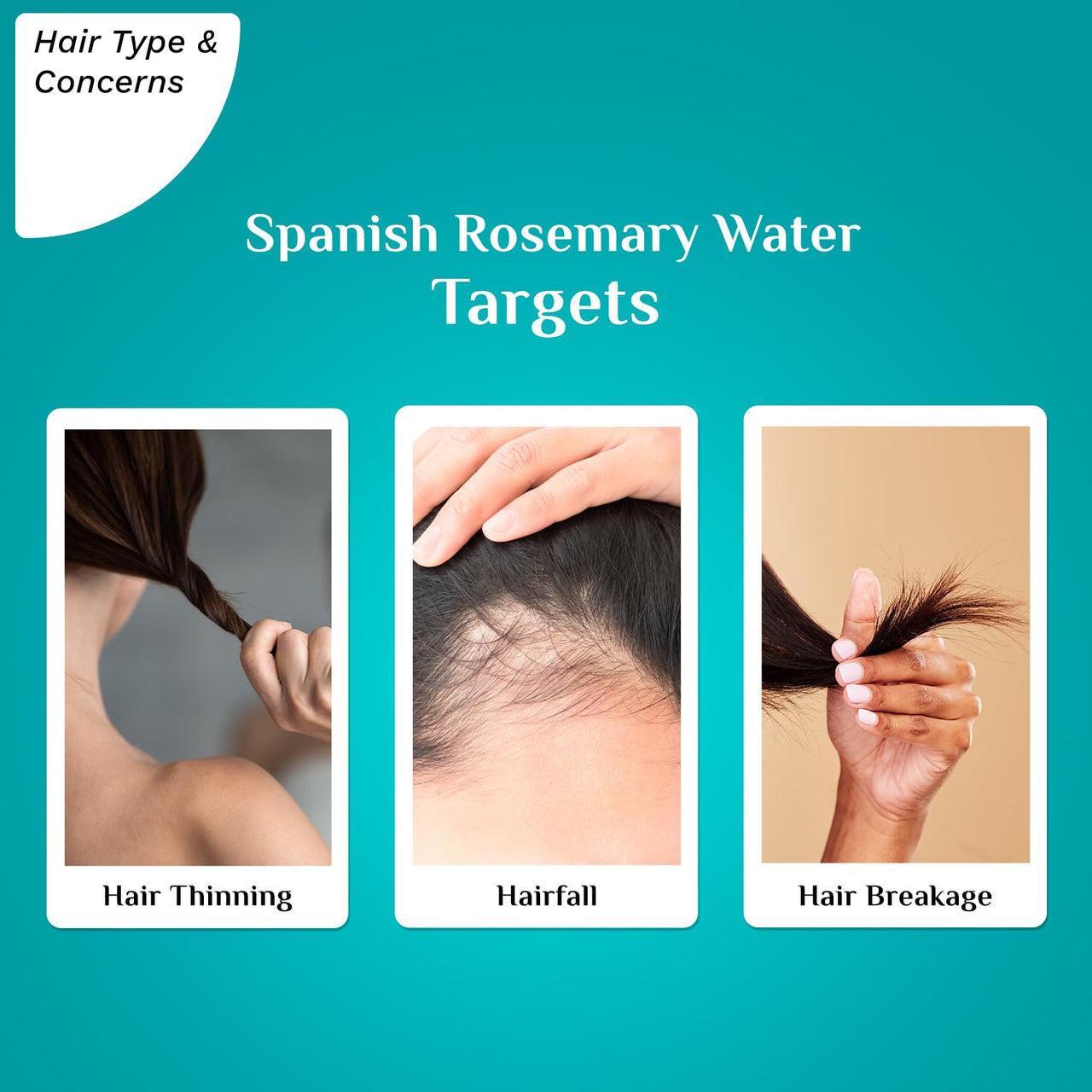 Pilgrim Spanish Rosemary Water Spray With Biotin for Hair Growth 100ml | Hair Spray for Regrowth | Thicker & Stronger Hair | Sulphate & Paraben Free I For Women for Men