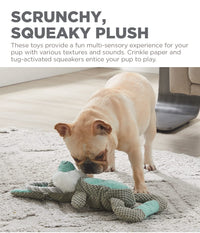 Outward Hound Scrunch Bunch Bunny Interactive Plush Squeaky Dog Tug Toy