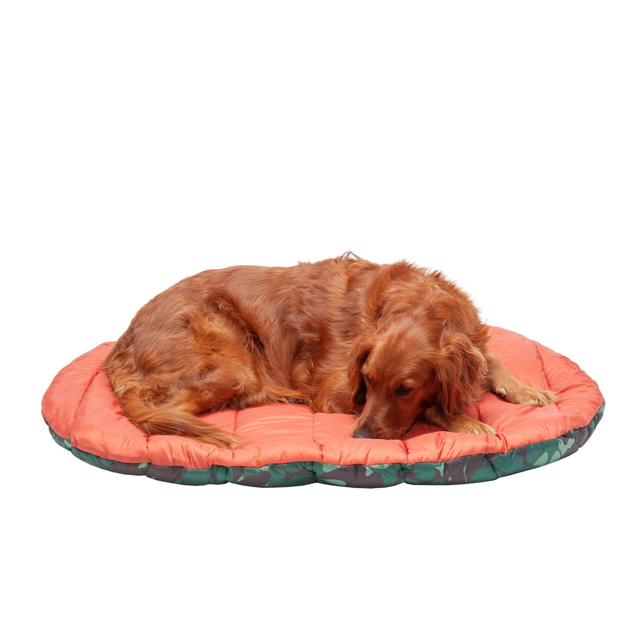 Furhaven Outdoor Travel Dog Bed for Large/Medium Dogs w/ Carry Bag, Washable & Foldable, Great for Crates & Kennels - Trail Pup Travel Pillow Mat w/ Stuff Sack Bag - Paprika/Camo-Paw, Large Trail Pup Travel Bed 39.0"L x 27.0"W x 2.0"Th