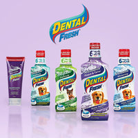 Dental Fresh Advanced Plaque and Tartar Water Additive, 17oz – Dog Teeth Cleaning Formula to Freshen Breath and Improve Overall Oral Health 17 oz