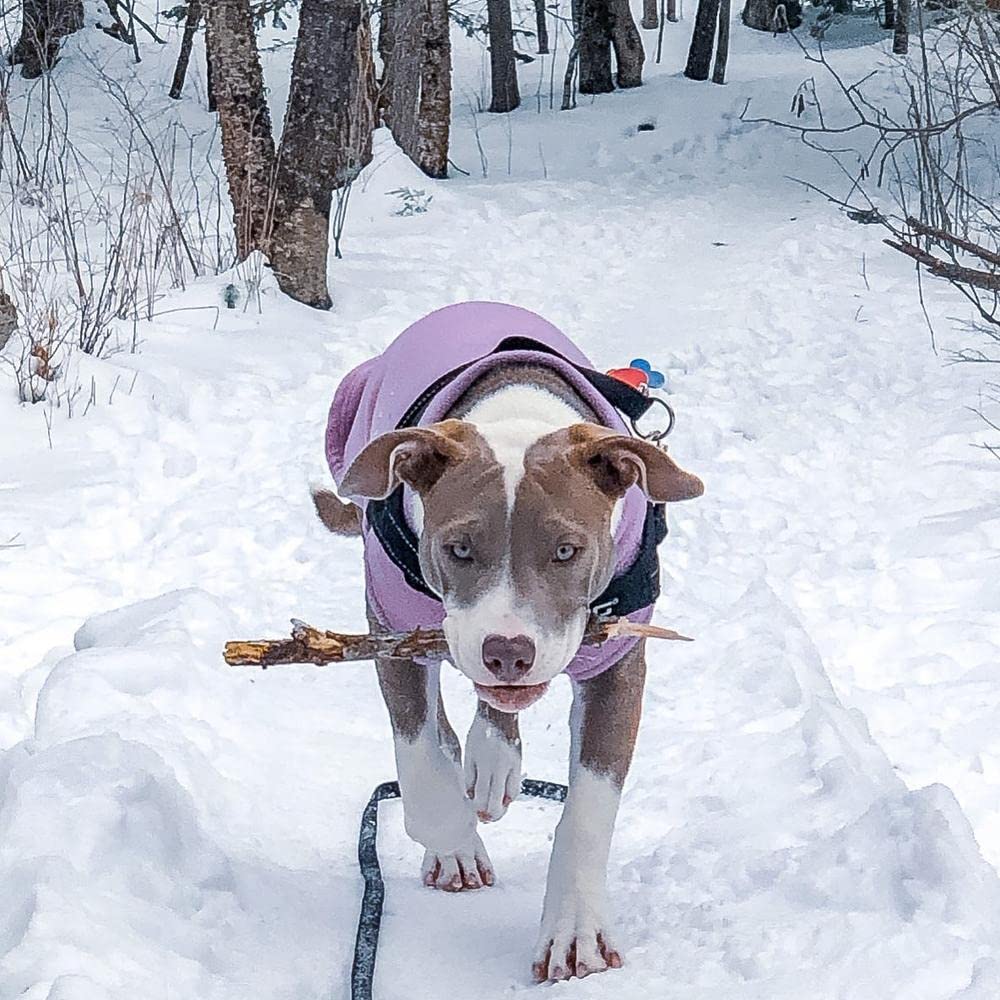 Gooby Stretch Fleece Vest Dog Sweater - Lavender, 5X-Large - Warm Pullover Fleece Dog Jacket - Winter Dog Clothes for Small Dogs Boy - Dog Sweaters for Small Dogs to Dog Sweaters for Large Dogs 5X-Large Length (25")