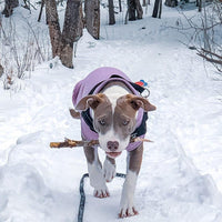 Gooby Stretch Fleece Vest Dog Sweater - Lavender, 5X-Large - Warm Pullover Fleece Dog Jacket - Winter Dog Clothes for Small Dogs Boy - Dog Sweaters for Small Dogs to Dog Sweaters for Large Dogs 5X-Large Length (25