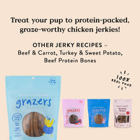 Bocce's  Bakery Jerky Stick Dog Treats, Wheat-Free, Made with Limited-Ingredients, Baked in The USA with No Added Salt or Sugar, All-Naural & High-Protein, Chicken & Pumpkin, 4 oz Chicken + Pumpkin