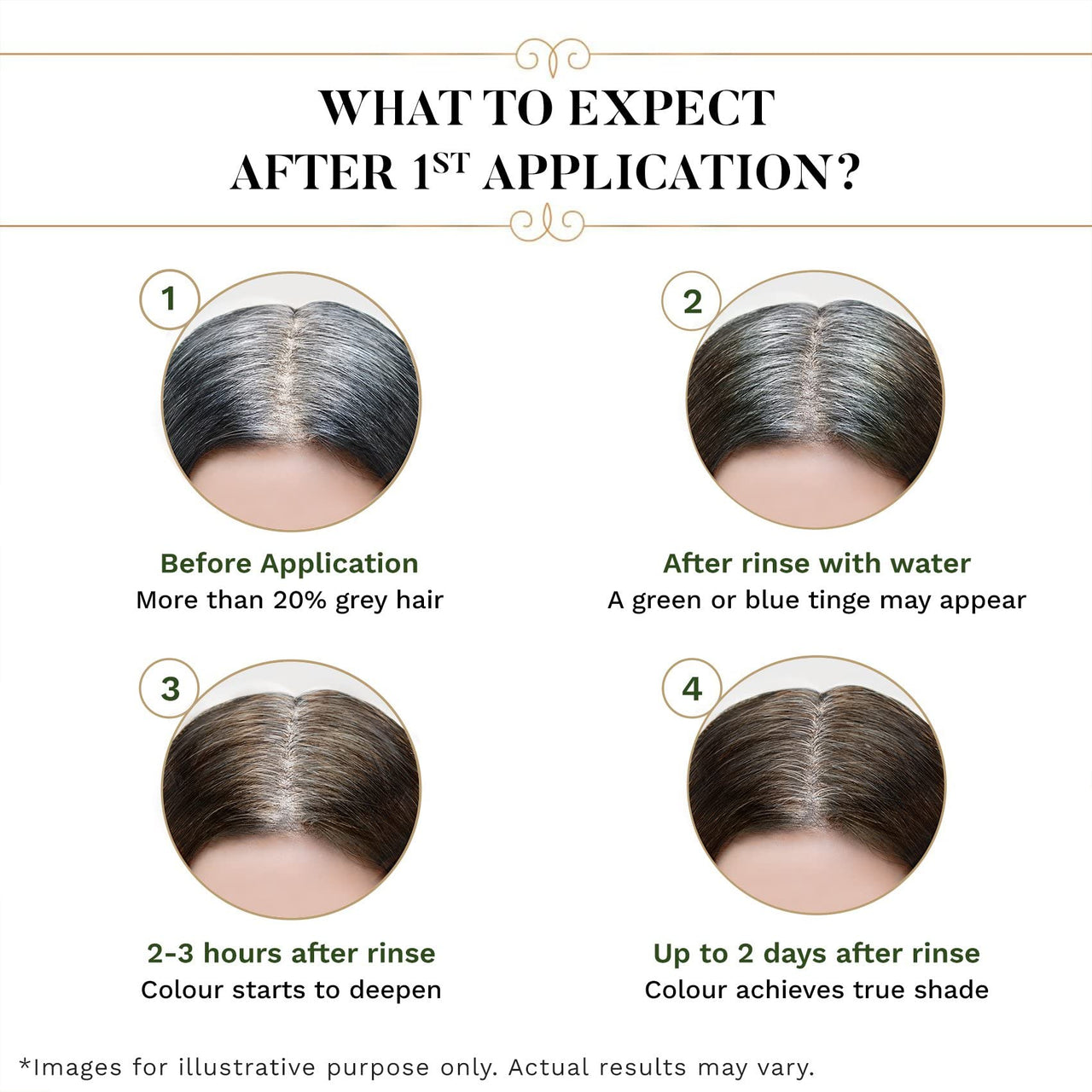 SESA 3 Step Natural Hair Colour Kit - For FIRST GREYS - 100% Organic & Ayurvedic - NO Ammonia, PPD, Peroxide