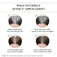 SESA 3 Step Natural Hair Colour Kit - For FIRST GREYS - 100% Organic & Ayurvedic - NO Ammonia, PPD, Peroxide