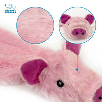 Best Pet Supplies 2-in-1 Stuffless Squeaky Dog Toys with Soft, Durable Fabric for Small, Medium, and Large Pets, No Stuffing for Indoor Play, Holds a Plastic Bottle - 1Wild Duck, Pig, Large Multicolor/Pig & Wild Duck