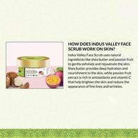INDUS VALLEY Ultra Rich Replenishing Shea Butter Fruit Face Scrub - (50ml)