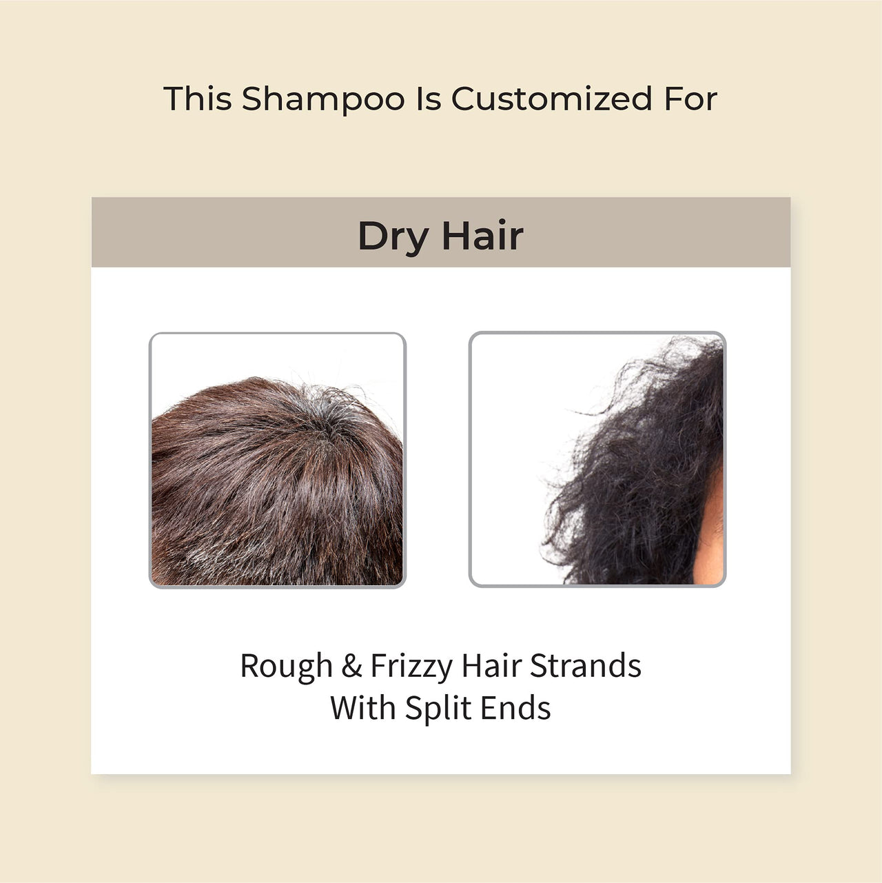 Vedix Ayurvedic Shampoo for Dry and Frizzy Hair, Vikleda Deep Conditioning Customized Sulfate Free Men Shampoo with Wheat Germ, Jojoba & Yashtimadhu, 100 ml