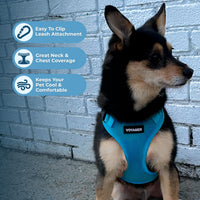 Voyager Step-in Lock Pet Harness - All Weather Mesh, Adjustable Step in Harness for Cats and Dogs by Best Pet Supplies - Turquoise, XS Harness (Turquoise) XS (Chest: 13 - 16