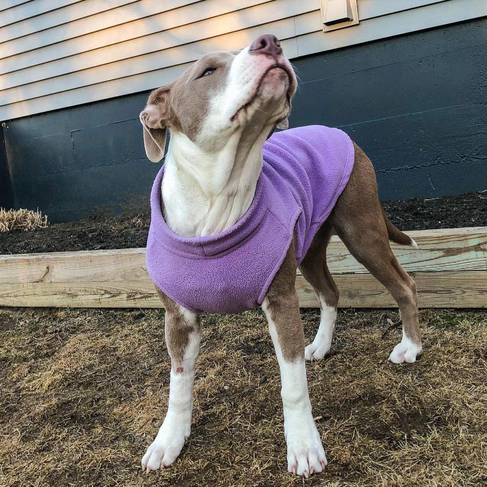 Gooby Stretch Fleece Vest Dog Sweater - Lavender, 5X-Large - Warm Pullover Fleece Dog Jacket - Winter Dog Clothes for Small Dogs Boy - Dog Sweaters for Small Dogs to Dog Sweaters for Large Dogs 5X-Large Length (25")