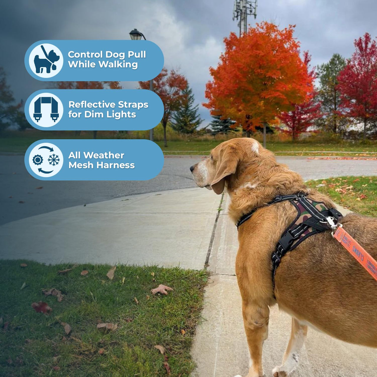 Air Frontier Mesh Dog Harness with Steel Leash D-Ring, Reflective Stitching, and Lightweight Breathable No-Pull Design, Adjustable Neck and Chest Straps for Small to Large Breeds - AMB, XS