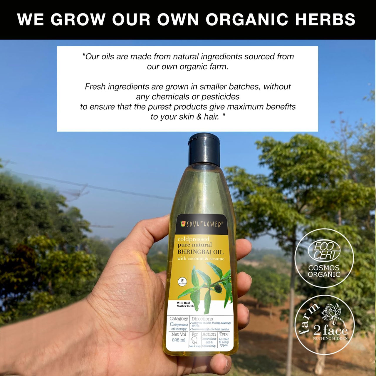 Soulflower Maha Bhringraj Oil for Hair growth 225ml | Natural Hair Growth, Strengthening & Nourishing Roots | Anti-Dandruff, Cooling Scalp Relief | Coconut & Sesame Oil Blend | Pure & Organic