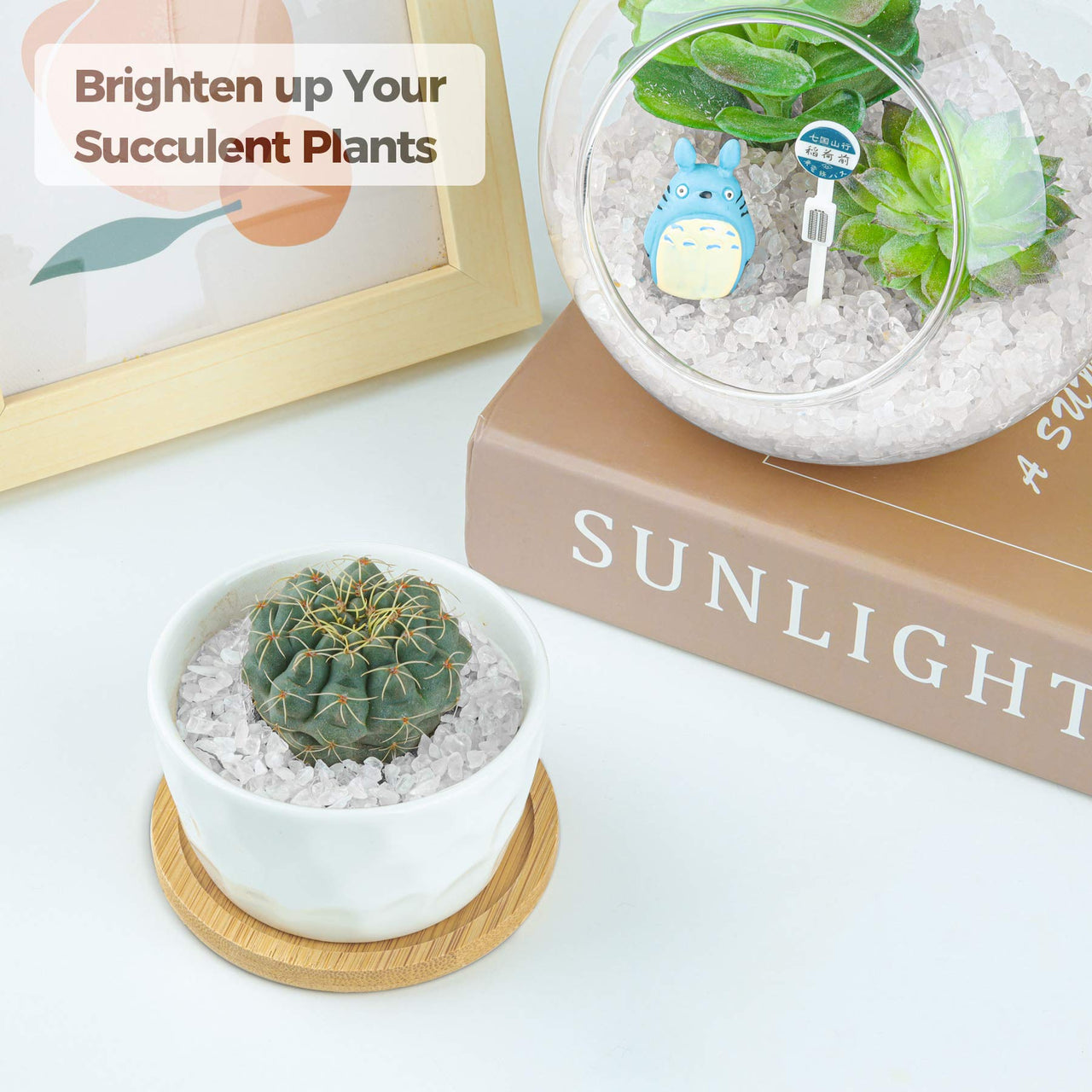 T4U Tumbled Chips Stones Crushed Crystal Quartz 2 LB, Irregular Shaped Gravels Pebble Healing Stones, DIY Smoothed Rocks for Potted Plant,Resin Art,Vase Fillers Aquarium Gravel Rocks (Clear) #3 - Clear