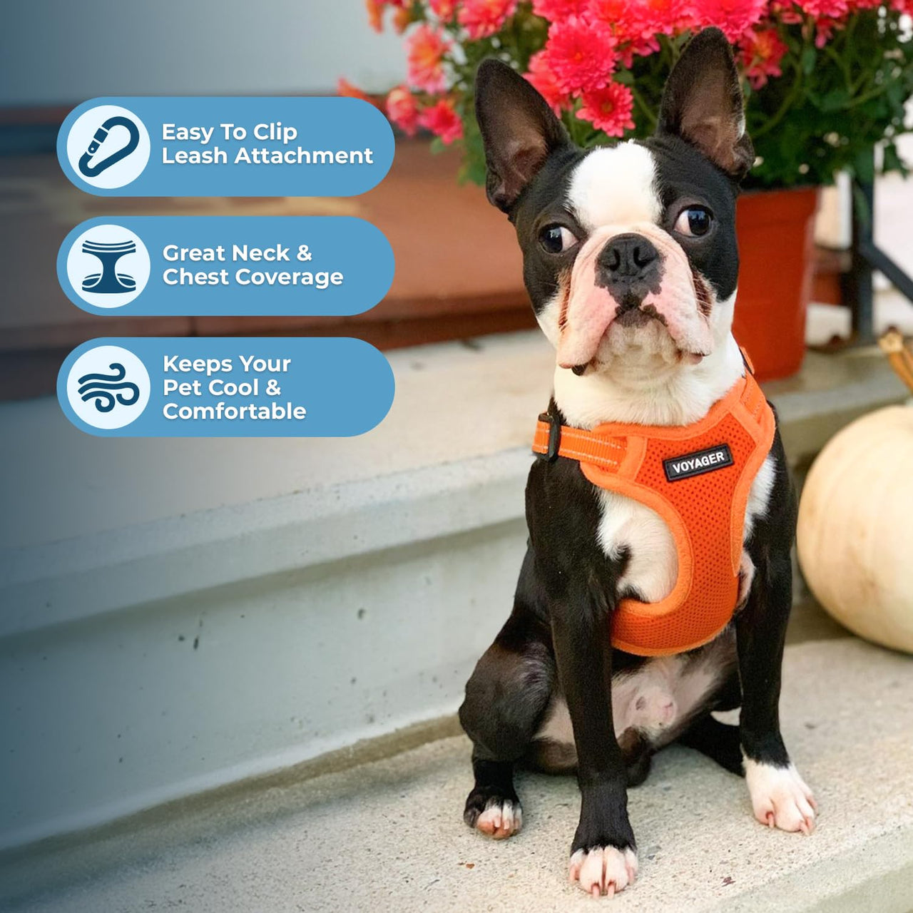 Best Pet Supplies Voyager Adjustable Dog Harness with Reflective Stripes for Walking, Jogging, Heavy-Duty Full Body No Pull Vest with Leash D-Ring, Breathable All-Weather - Harness (Orange), XL