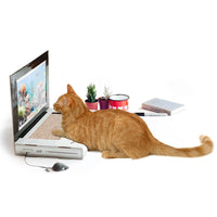 Suck UK Cat Scratcher Laptop with Fluffy 'Mouse' Interactive Toys, Paw Over Social Media & Catch up on The Mews, Kitten Toys & Cat Scratch Pads |