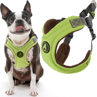 Gooby Escape Free Memory Foam Harness - Green, Large - No Pull Step-in Small Dog Harness with Four Point Adjustment - Perfect on The Go Dog Harness for Medium Dogs No Pull and Small Dogs Large Chest (16.5~24.25