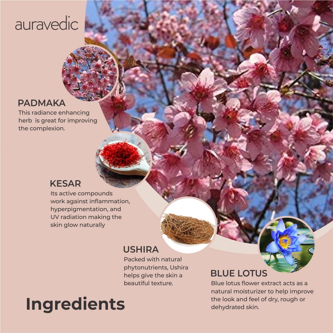 Auravedic Kumkumadi Face Cream For Glowing Skin With Kumkumadi Oil For Face 100g Pigmentation Cream Moisturizer For Dark Spots Detan Blemishes