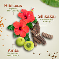 Mamaearth Kerala Thaali Cleansing Pre-Shampoo Hair Mask with Hibiscus, Shikakai, Amla, Flaxseed for Thick & Long Hair 200g | Ready To Use Thali | Gently Cleanses | Adds Shine | 100% Natural Herbs | 12 Potent Herbs