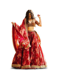 Zeel Clothing Floral Organza Semi-Stitched Lehenga Choli for Women