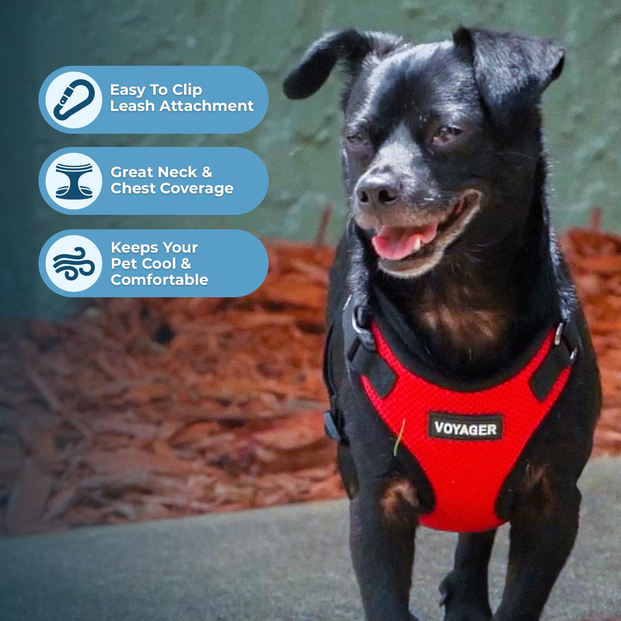 Voyager Step-in Lock Pet Harness - All Weather Mesh, Adjustable Step in Harness for Cats and Dogs by Best Pet Supplies - Red/Black Trim, XS Harness (Red/Black Trim) XS (Chest: 13 - 16" * Fit Cats)