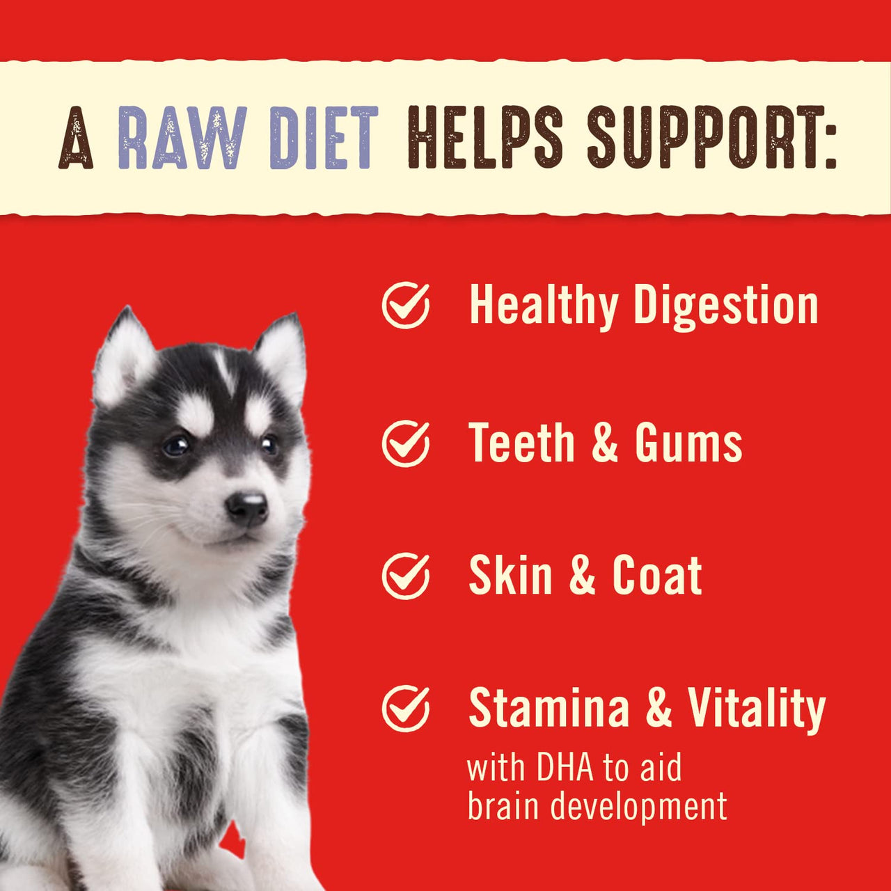 Stella & Chewy's  Freeze Dried Raw Dinner Patties – Crafted for Puppies – Grain Free, Protein Rich Perfectly Puppy Chicken & Salmon Recipe – 5.5 oz Bag 5.5 Ounce (Pack of 1)