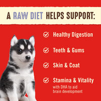 Stella & Chewy's  Freeze Dried Raw Dinner Patties – Crafted for Puppies – Grain Free, Protein Rich Perfectly Puppy Chicken & Salmon Recipe – 5.5 oz Bag 5.5 Ounce (Pack of 1)