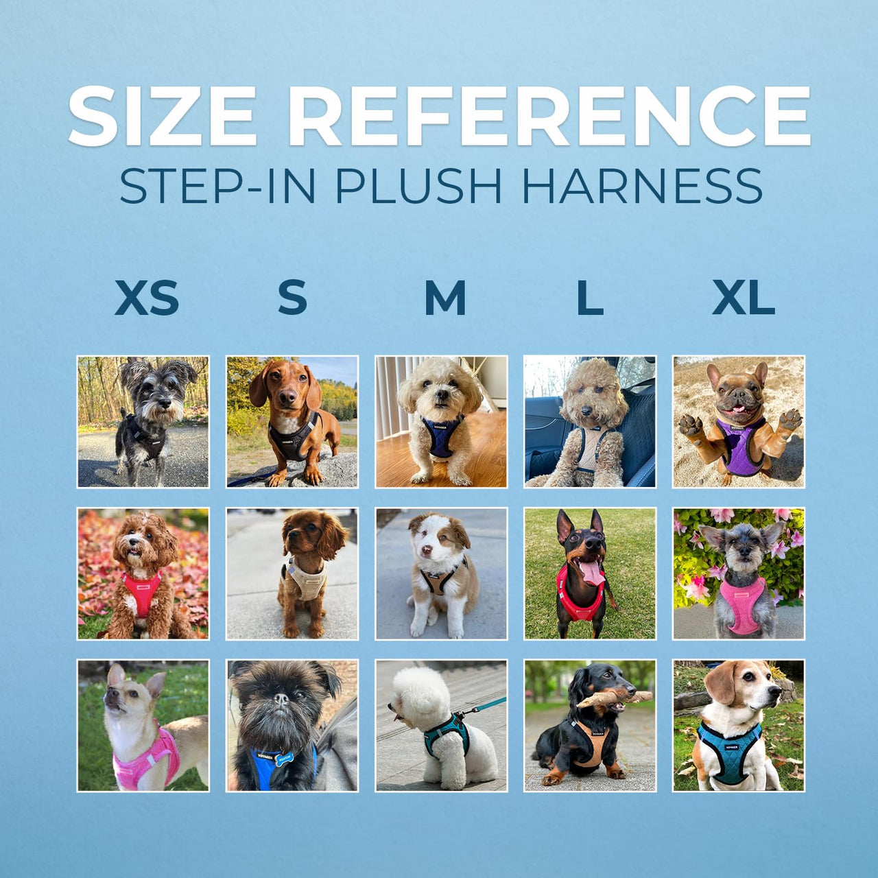 Voyager Step-In Plush Dog Harness  Soft Plush, Step In Vest Harness for Small and Medium Dogs by Best Pet Supplies - Harness (Turquoise Plush), L (Chest: 18 - 20.5")