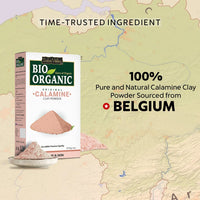 INDUS VALLEY Bio Organic 100% Natural Calamine Clay Powder | Healing Clay for Face & Skin Care (250 gm)