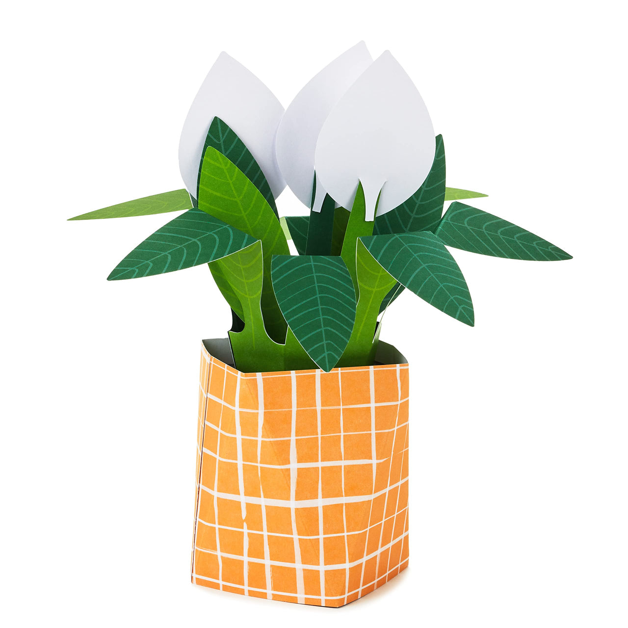 Hallmark Paper Wonder Pop Up Card (Potted Peace Lily) for Mother's  Day, Birthday, Administrative Professionals Day, Nurses Day, Thinking of You, Congrats, Get Well, or Any Occasion