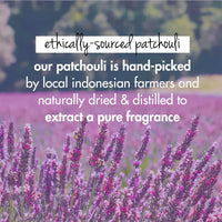 Love Beauty & Planet Onion Oil|| Blackseed Oil & Patchouli Hairfall Control Conditioner|| No Parabens|| No Dyes Patchouli Essential Oil, 200 Millilitre