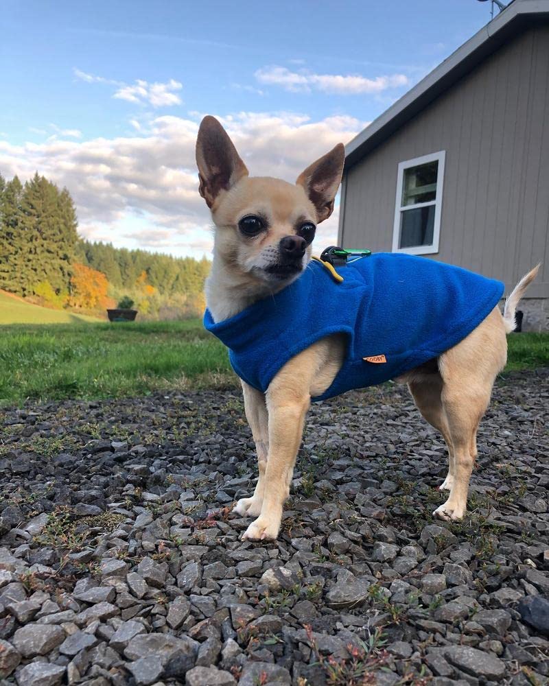 Gooby Zip Up Fleece Dog Sweater - Blue, X-Small - Warm Pullover Fleece Step-in Dog Jacket with Dual D Ring Leash - Winter Small Dog Sweater - Dog Clothes for Small Dogs Boy and Medium Dogs
