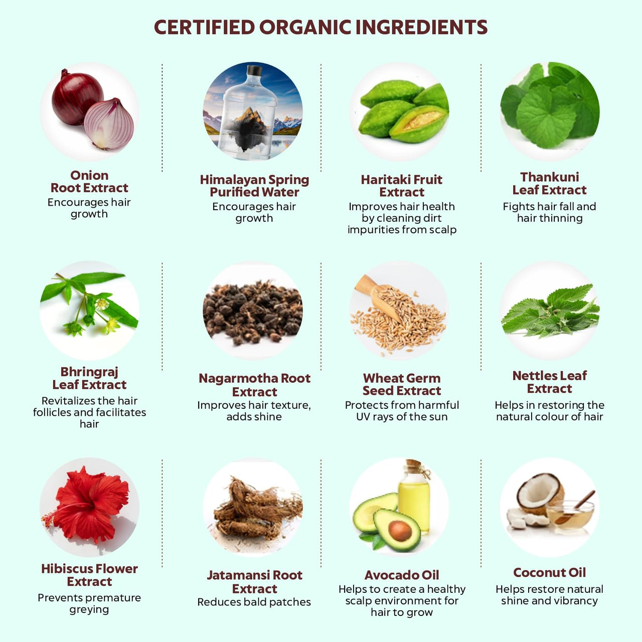 INDUS VALLEY Bio Organic Growout Shampoo 200ml for Hair Growth and Hairfall Control - 2 x 200g= 400g Set of 2