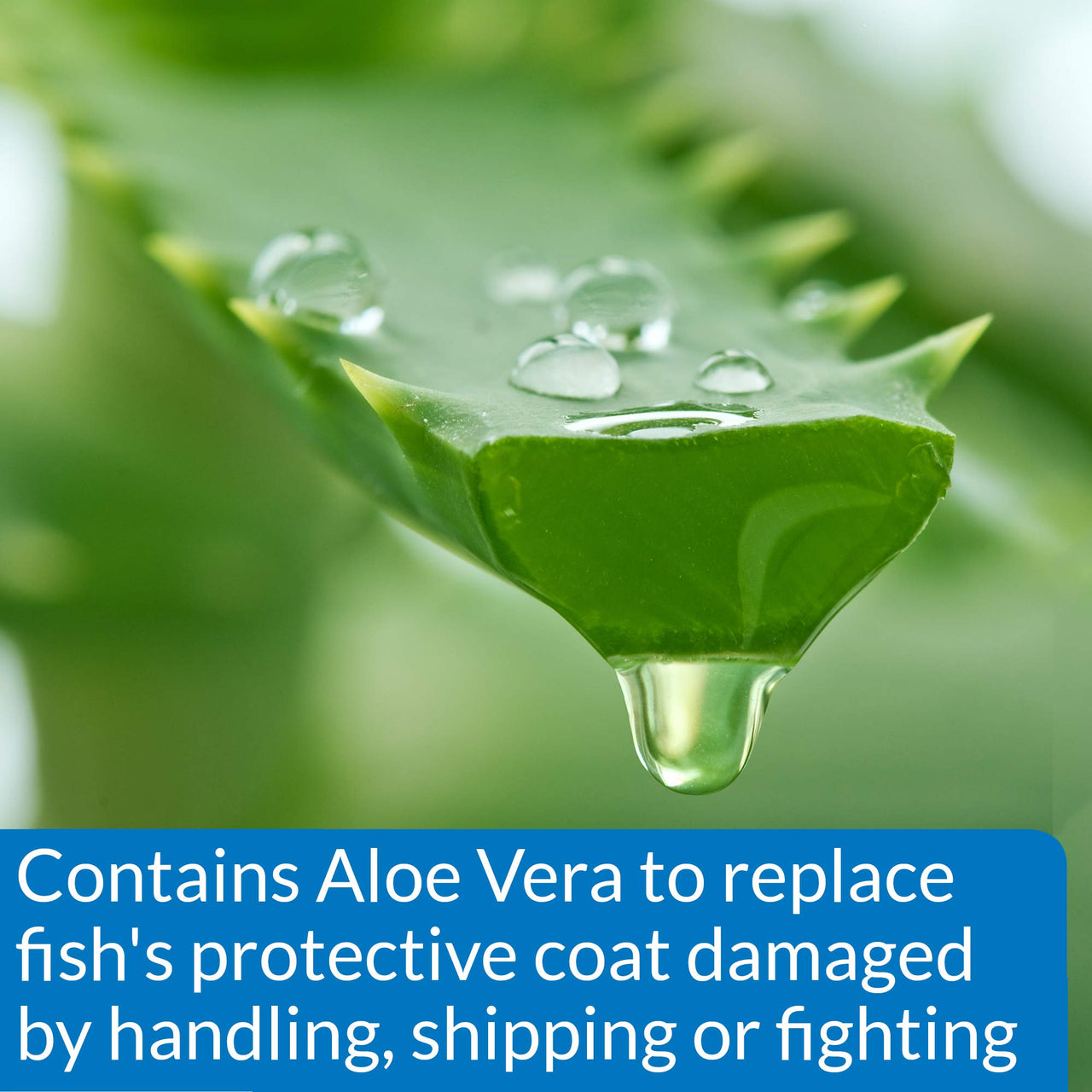 MARINE STRESS COAT Saltwater Aquarium Water Conditioner 16-Ounce Bottle (385D)