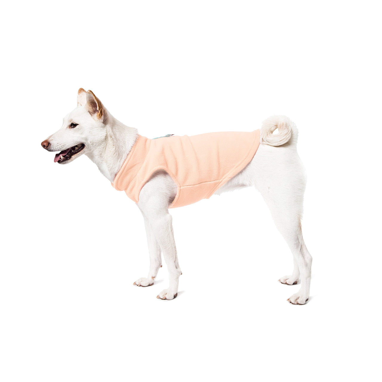 Gooby Fleece Vest Dog Sweater - Lime, Large - Warm Pullover Fleece Dog Jacket with O-Ring Leash - Winter Small Dog Sweater Coat - Cold Weather Dog Clothes for Small Dogs Boy or Girl Large (Around 18-lb)