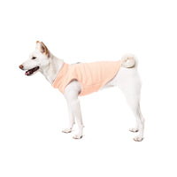 Gooby Fleece Vest Dog Sweater - Lime, Large - Warm Pullover Fleece Dog Jacket with O-Ring Leash - Winter Small Dog Sweater Coat - Cold Weather Dog Clothes for Small Dogs Boy or Girl Large (Around 18-lb)