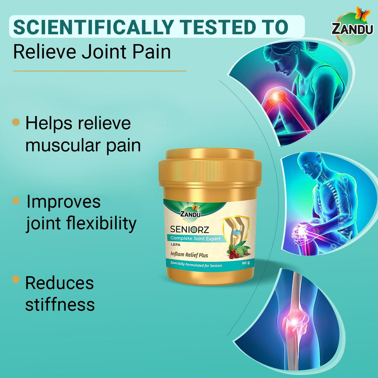 Zandu Seniorz Complete Joint Expert Lepa, 90g, Helps reduce muscular & joint pain, Increase Joint Flexibility & Reduce Joint Stiffness, 100% Ayurvedic & Natural Balm